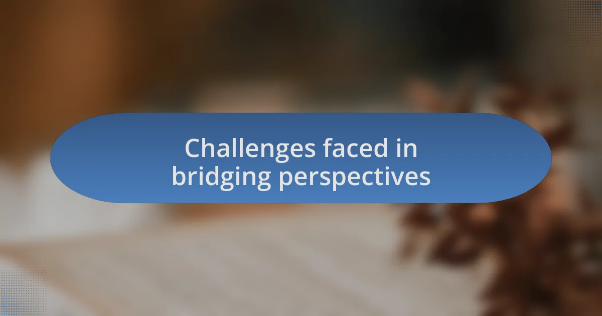 Challenges faced in bridging perspectives